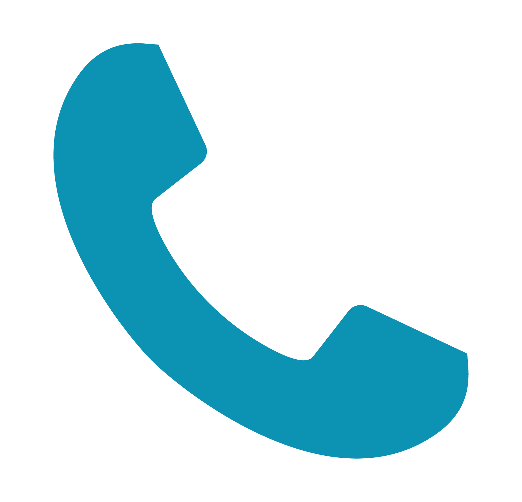 STEP 1 CONSULTATION Phone Icon