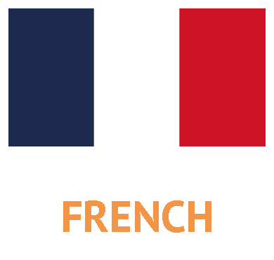 Translate a Website into Over 100 Languages 01 French