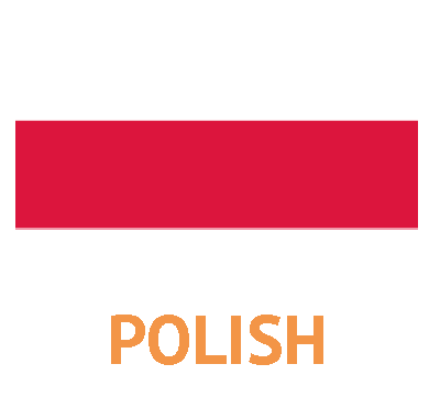 Translate a Website into Over 100 Languages 10 Polish Image