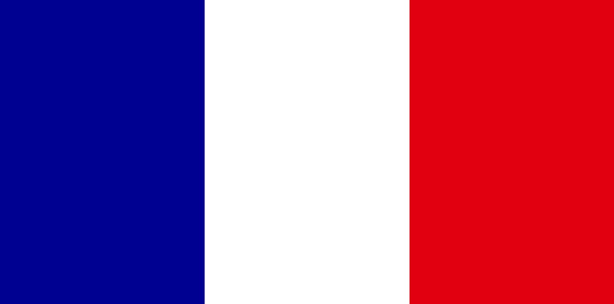 Legal Document Translation Services in 100+ Languages 03 French Image