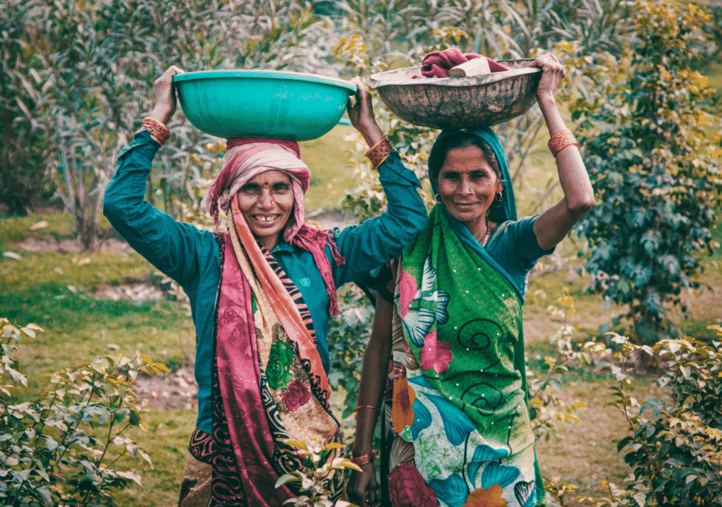 WHY MALAYALAM Image