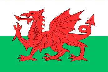 Welsh Flag Image