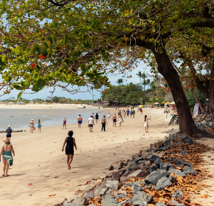 Why Angolar Creole Matters Image