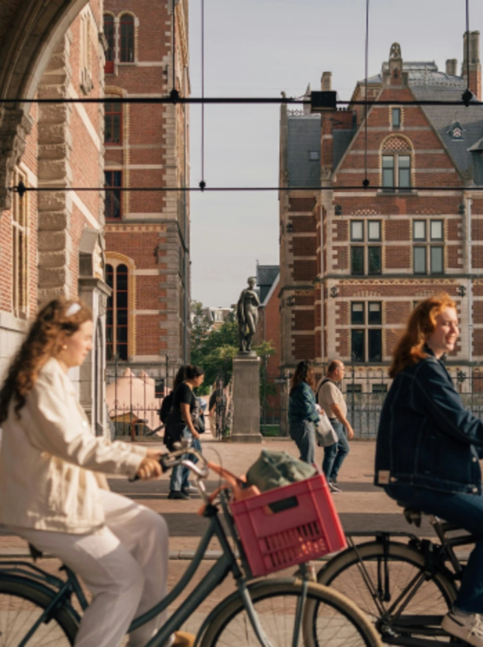 Why Choose Our Dutch Translation Services Image