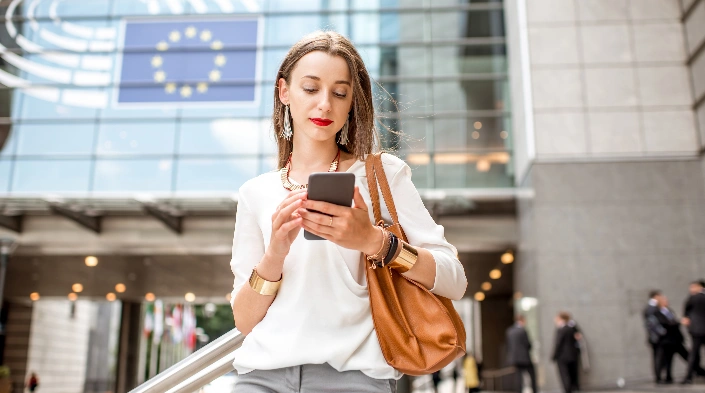 Why Flemish Language Translation Matters Image